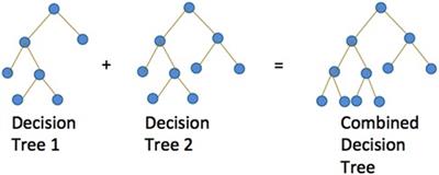 Machine learning predicts improvement of functional outcomes in traumatic brain injury patients after inpatient rehabilitation